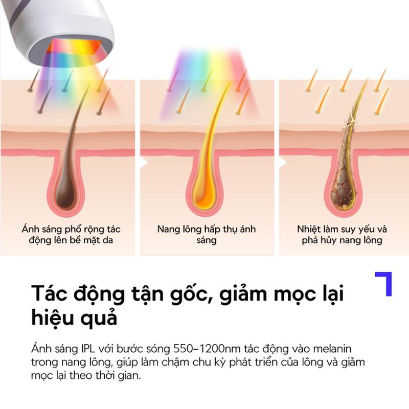 M&aacute;y Triệt L&ocirc;ng Lạnh Sapphire LocknLock, &Aacute;nh S&aacute;ng K&eacute;p 5 Mức Cường Độ, 4 Chế Độ bằng c&ocirc;ng nghệ Sapphire Cooling, Triệt L&ocirc;ng Tại Nh&agrave; - ENC312IVY, , large image number null